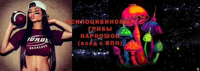 Галлюциногенные грибы Magic Shrooms  кракен   Новоульяновск  цена  